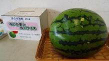 img2