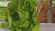 img4