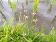 img2