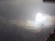 img1