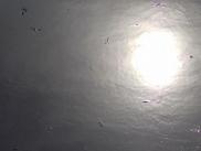 img1