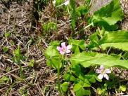 img3