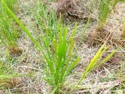 img3