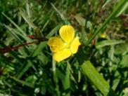 img3