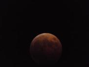img1