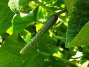 img3
